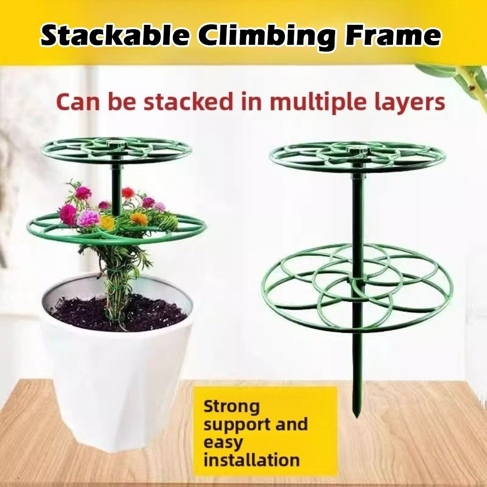 Vine Climbing Plastic - Durable S/M/L Bonsai Climbing Frame Stackable