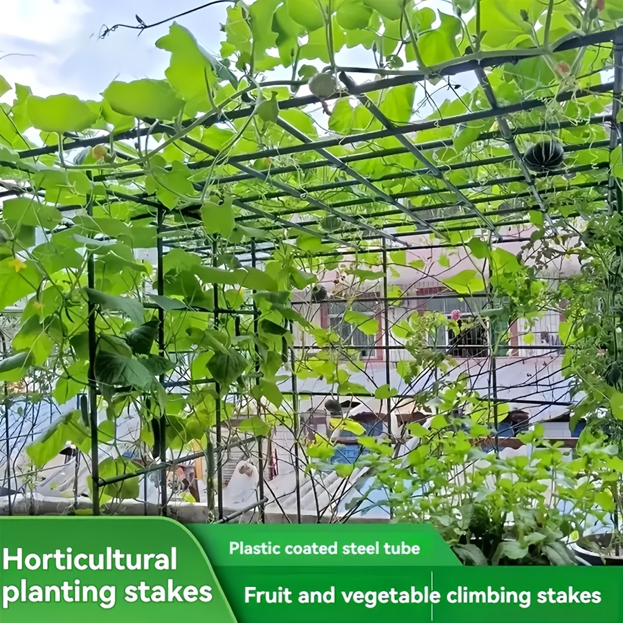 Pop Rustproof Vegetable Climbi - Vine Climbing Plastic 评论和价格