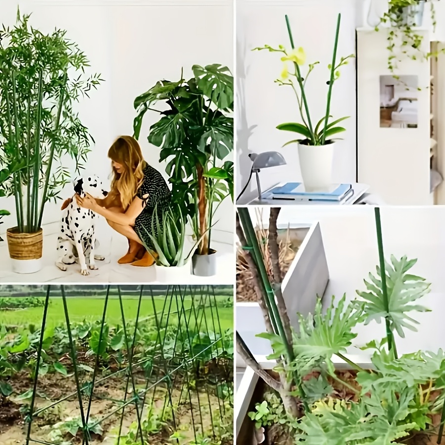 Pop Rustproof Vegetable Climbi - Vine Climbing Plastic 评论和价格