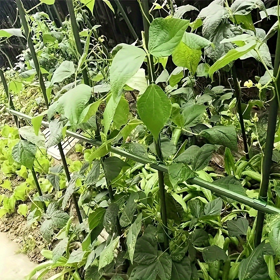 Pop Rustproof Vegetable Climbi - Vine Climbing Plastic 评论和价格