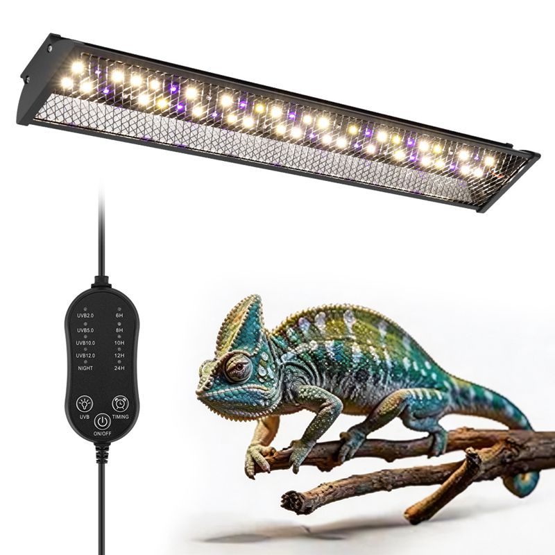 Reptiles Bracket Light Maned L - Calcium Powder Reptile 评论和价格