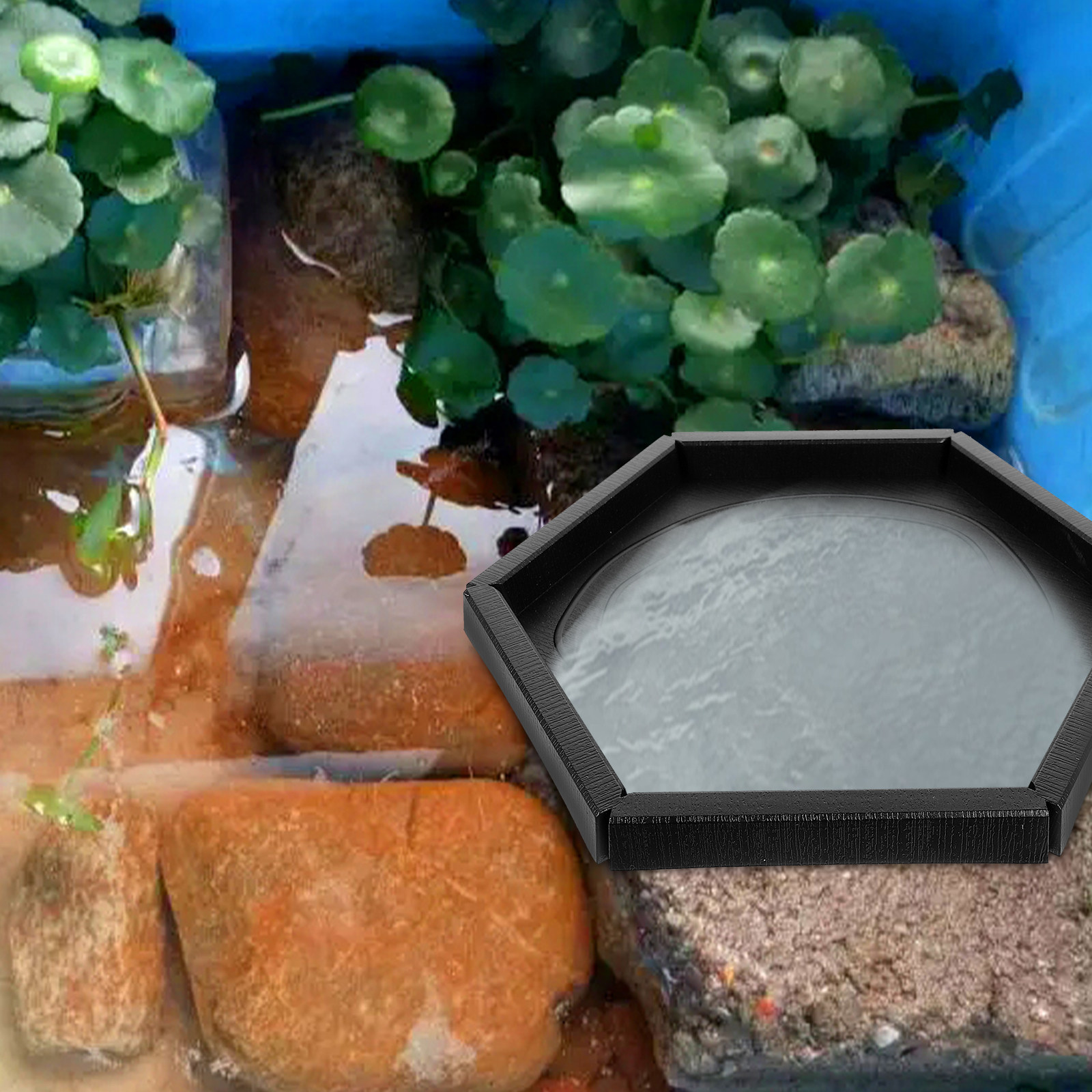 3Pcs Reptile Feeding Dish Safe - Water Dish Reptile 评论和价格