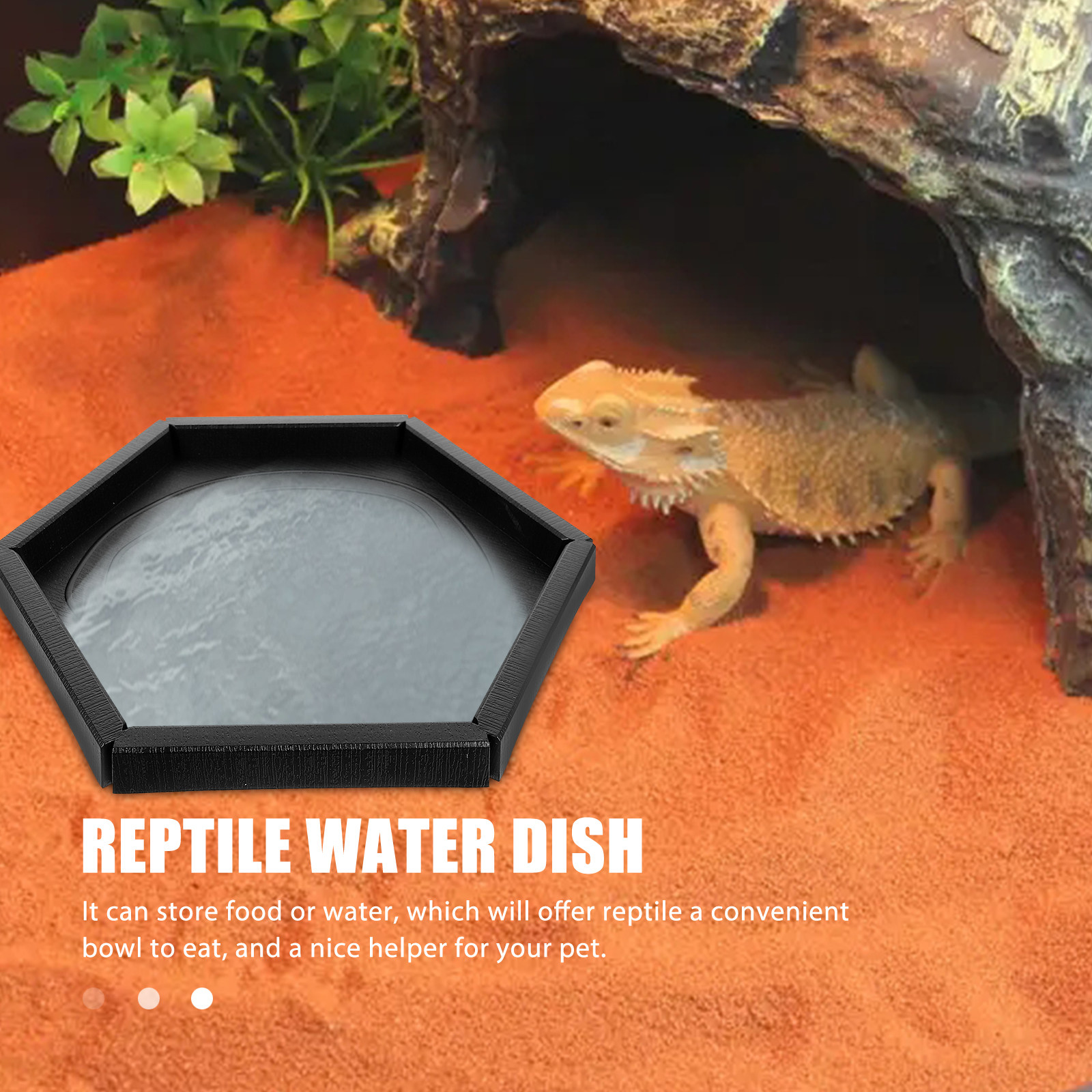 3Pcs Reptile Feeding Dish Safe - Water Dish Reptile 评论和价格