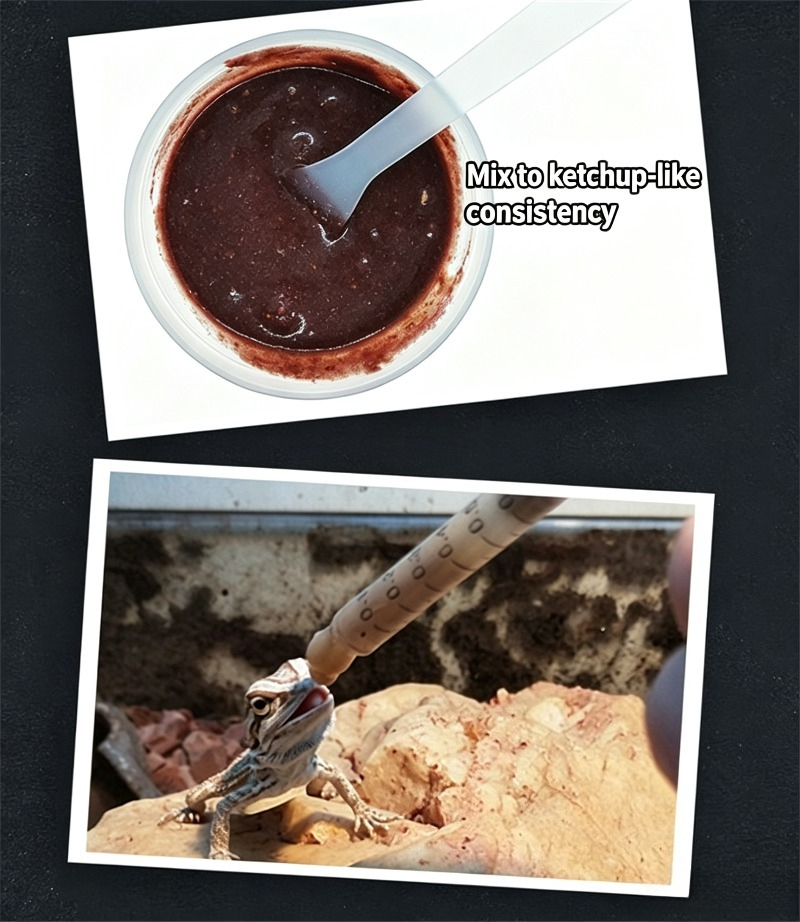 Reptile Food Gecko Insect Frui - Calcium Powder Reptile 评论和价格