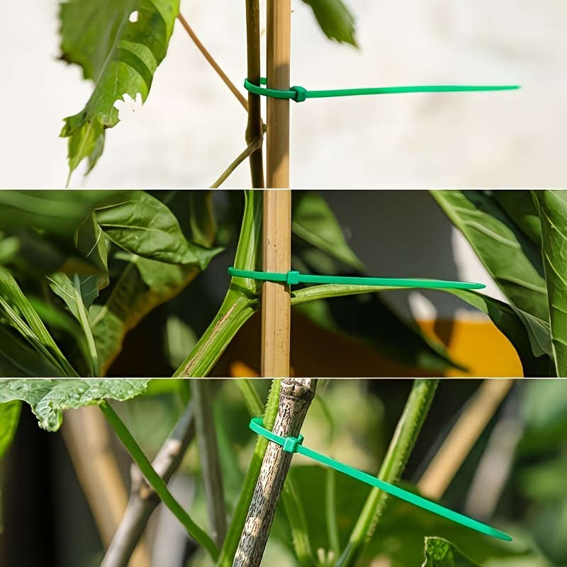 50-300pcs Adjustable Plastic P - Vine Climbing Plastic 评论和价格