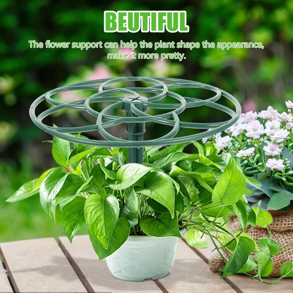 Durable S/M/L Bonsai Climbing  - Vine Climbing Plastic 评论和价格