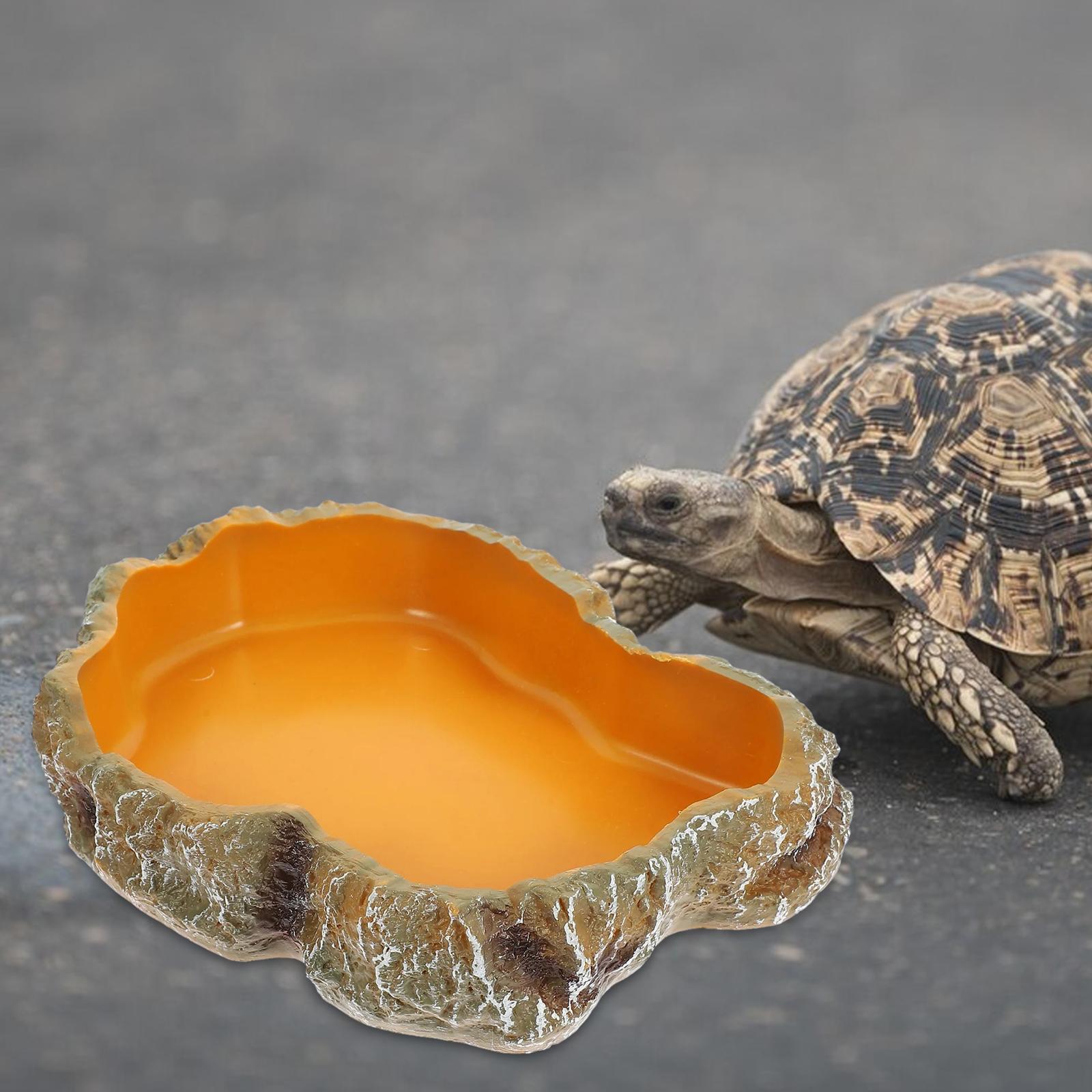 Reptile Tank Accessories Resin - Water Dish Reptile 评论和价格
