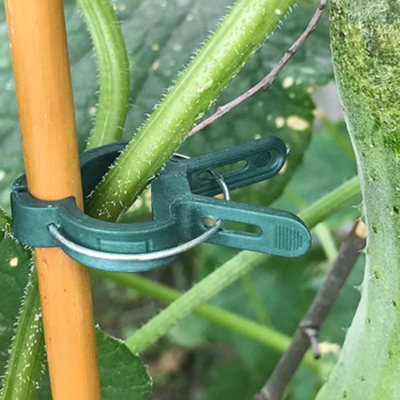 Plant Fixed Clips Reusable Gar - Vine Climbing Plastic 评论和价格
