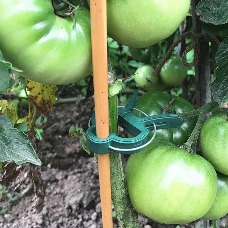 Plant Fixed Clips Reusable Gar - Vine Climbing Plastic 评论和价格