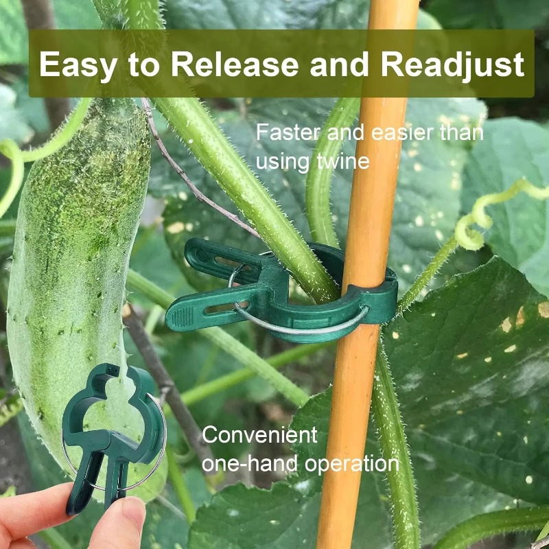 Plant Fixed Clips Reusable Gar - Vine Climbing Plastic 评论和价格