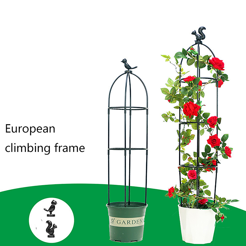 C 1Set Climbing Plant Trellis  - Vine Climbing Plastic 评论和价格