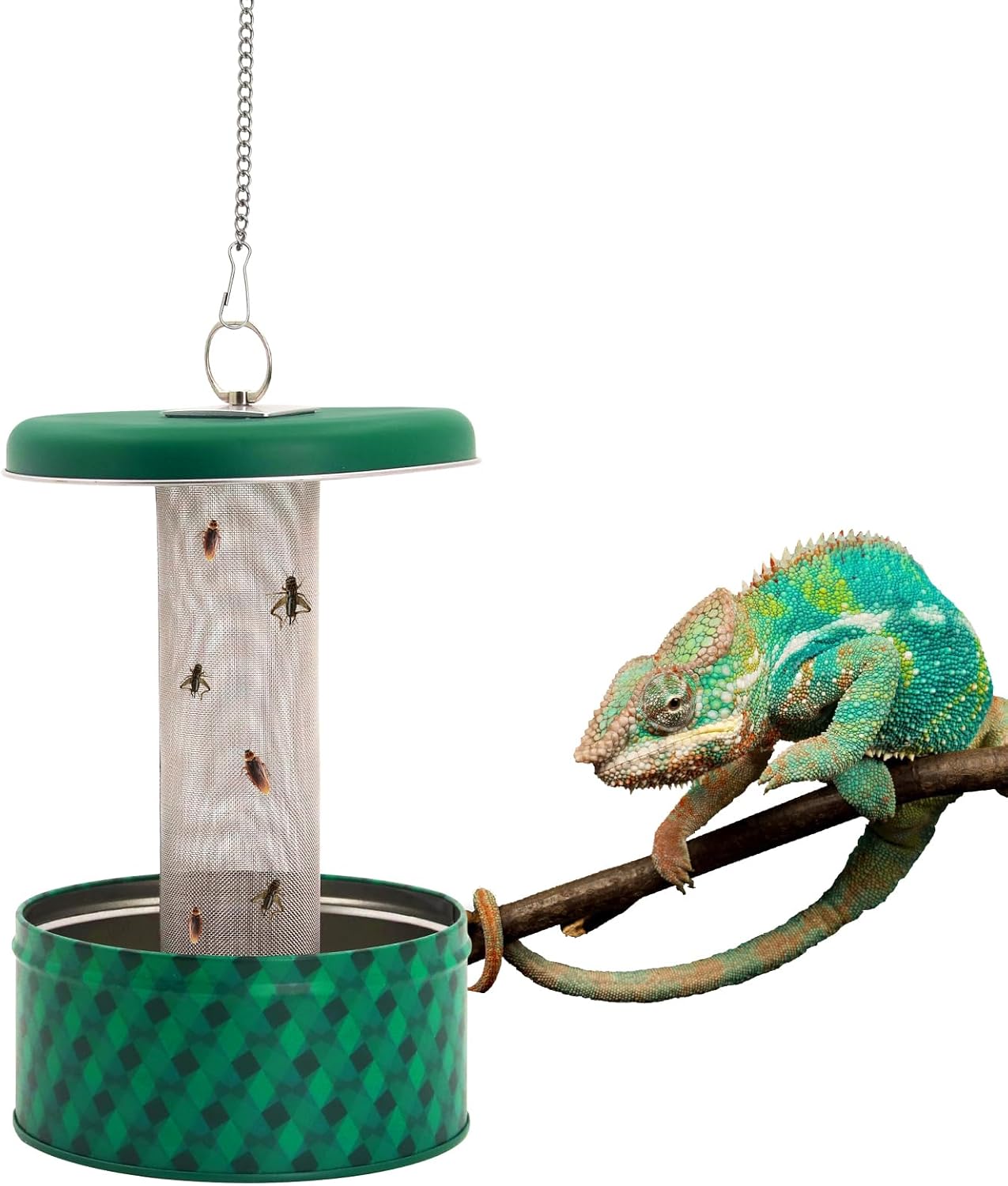 Bearded Dragon Feeder Chameleo - Water Dish Reptile 评论和价格