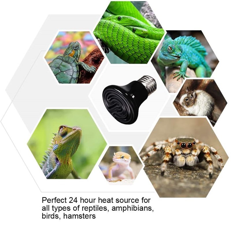 Reptile Heating Lamp for Turtl - Ceramic Heat Emitter 评论和价格