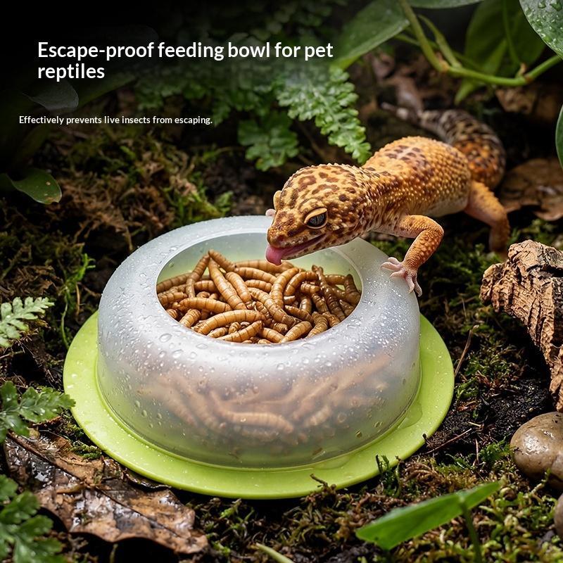 1Pc ABS Reptile Feeding Dish A - Water Dish Reptile 评论和价格