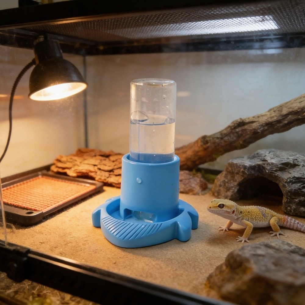 Plastic Reptiles Water Feeder  - Water Dish Reptile 评论和价格