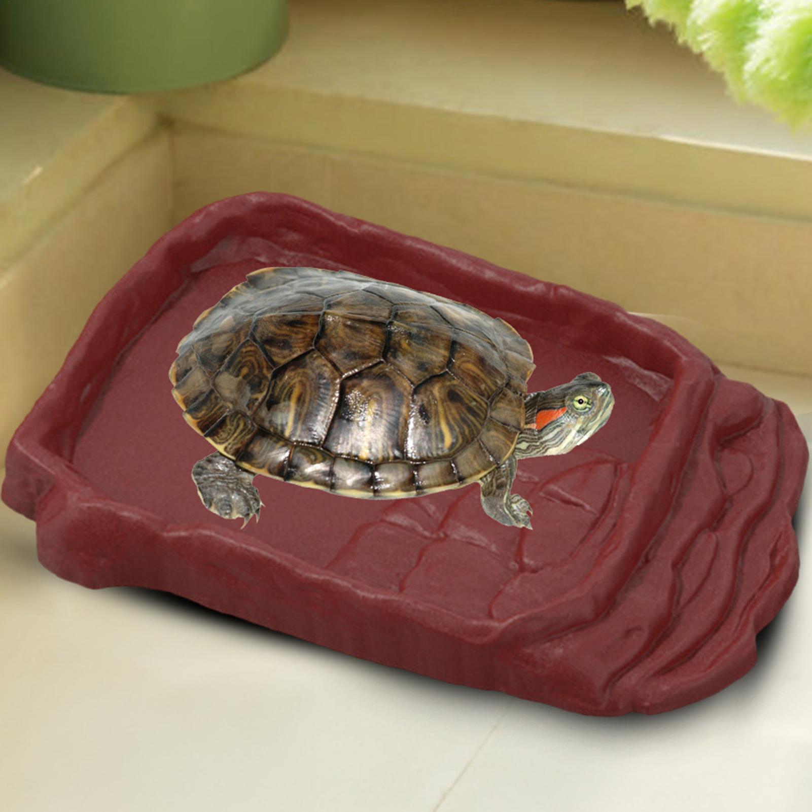 Anti-Slip Ladders Reptile Bowl - Water Dish Reptile 评论和价格